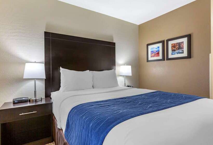 Отель Comfort Inn & Suites Surprise Near Sun City West