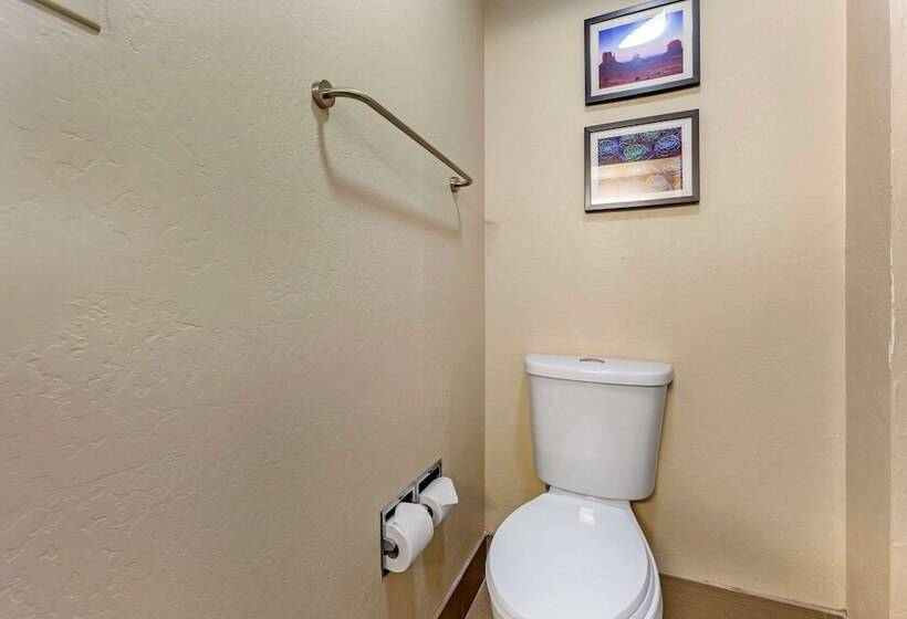 Отель Comfort Inn & Suites Surprise Near Sun City West