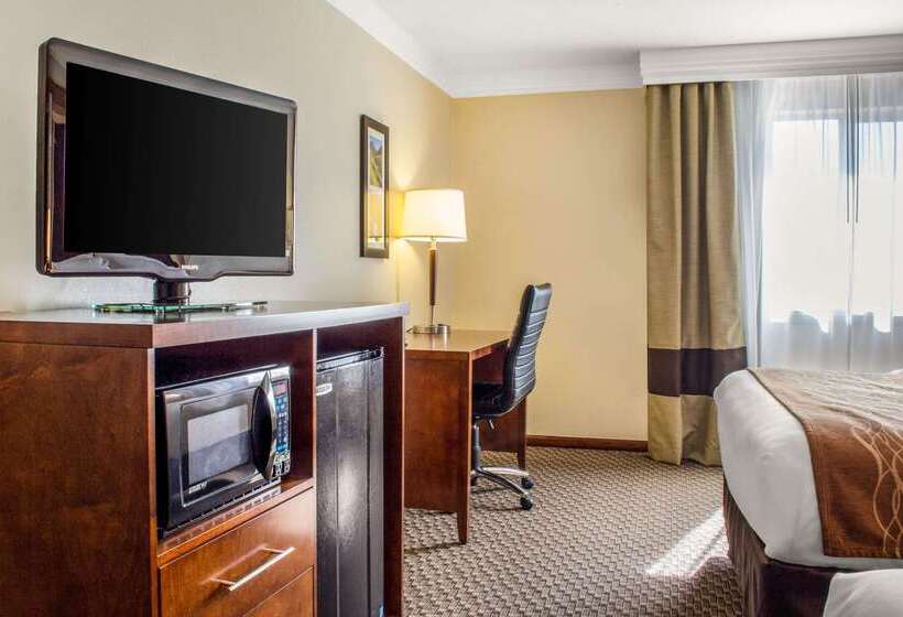 فندق Comfort Inn & Suites Durango