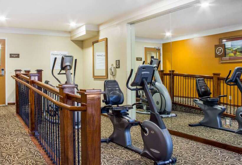 فندق Comfort Inn & Suites Durango