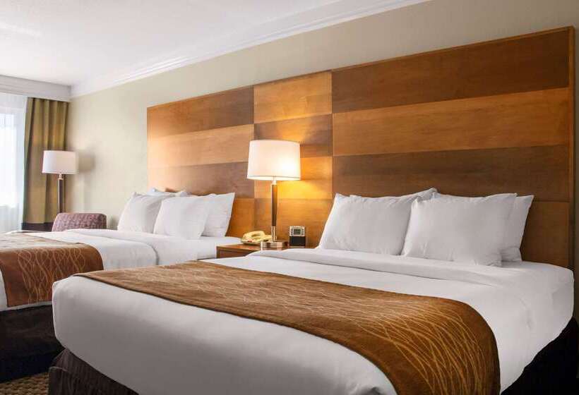 فندق Comfort Inn & Suites Durango