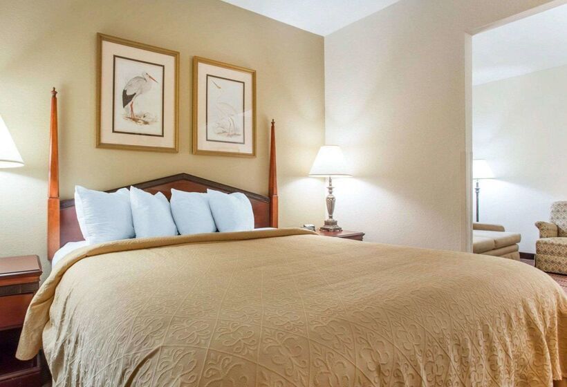 Отель Comfort Inn & Suites Patriots Point