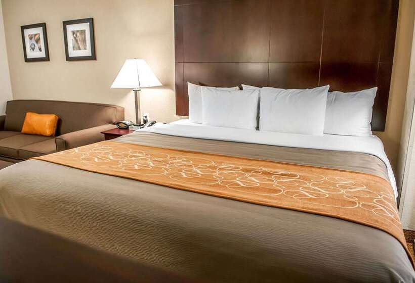 호텔 Comfort Suites North Albuquerque Balloon Fiesta Park