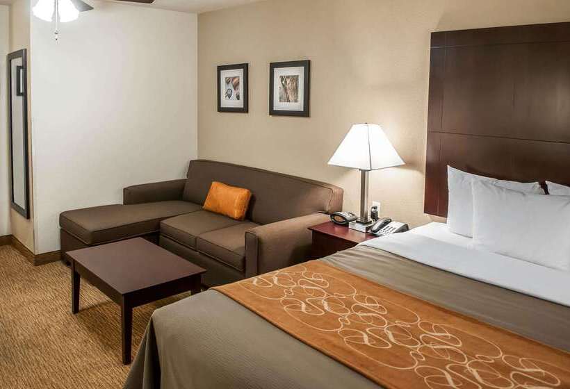 호텔 Comfort Suites North Albuquerque Balloon Fiesta Park