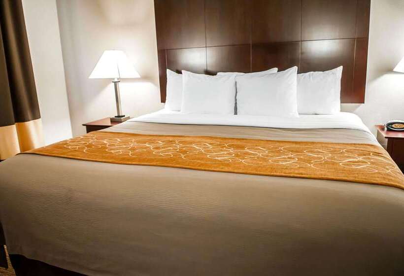 호텔 Comfort Suites North Albuquerque Balloon Fiesta Park