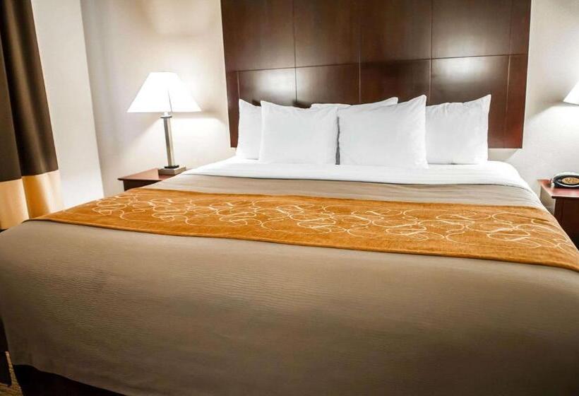 호텔 Comfort Suites North Albuquerque Balloon Fiesta Park