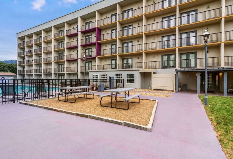 District 3 Hotel, Ascend Hotel Collection