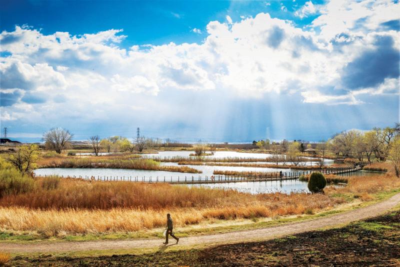 בית מלון כפרי Holiday Inn Denver East, An Ihg