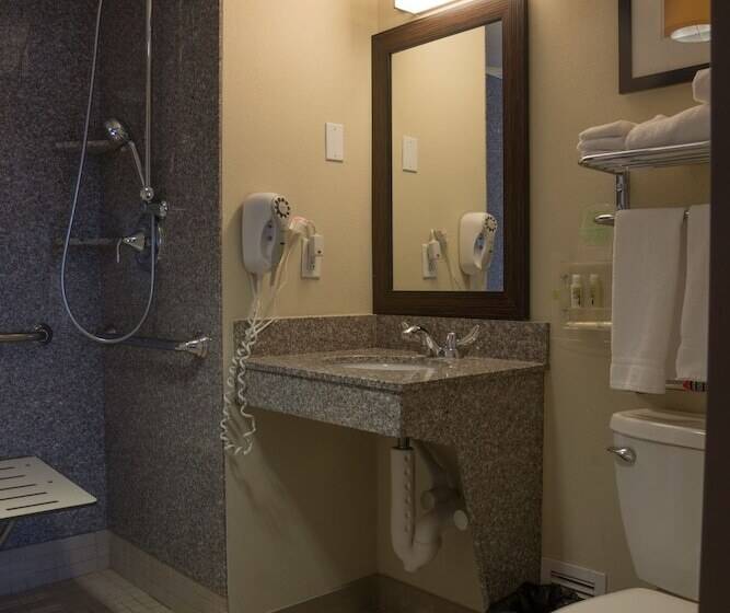 فندق Holiday Inn Portsmouth Downtown, An Ihg