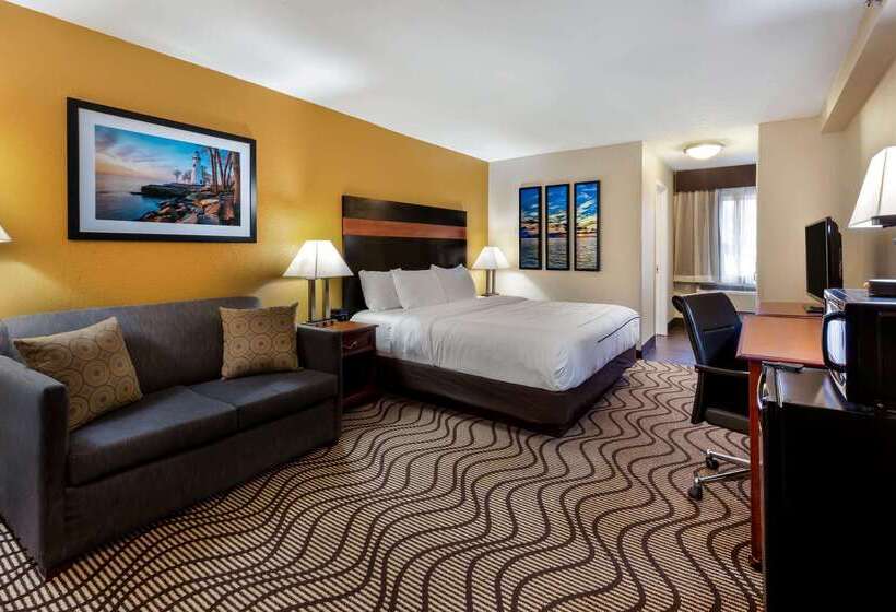 酒店 La Quinta Inn By Wyndham Sandusky Near Cedar Point