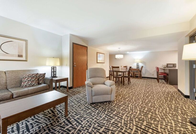 酒店 Quality Inn & Suites Mayo Clinic Area