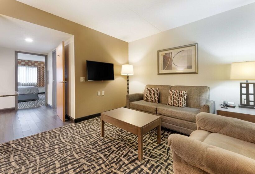 酒店 Quality Inn & Suites Mayo Clinic Area