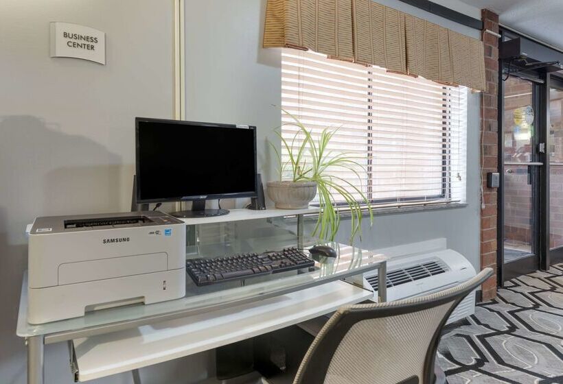 酒店 Quality Inn & Suites Mayo Clinic Area