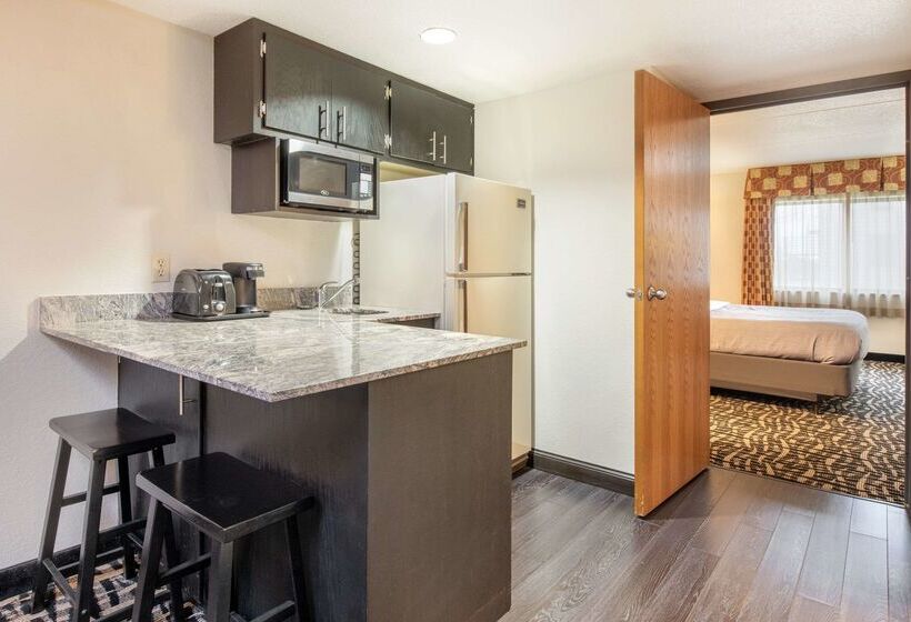 酒店 Quality Inn & Suites Mayo Clinic Area