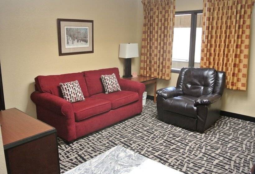 酒店 Quality Inn & Suites Mayo Clinic Area