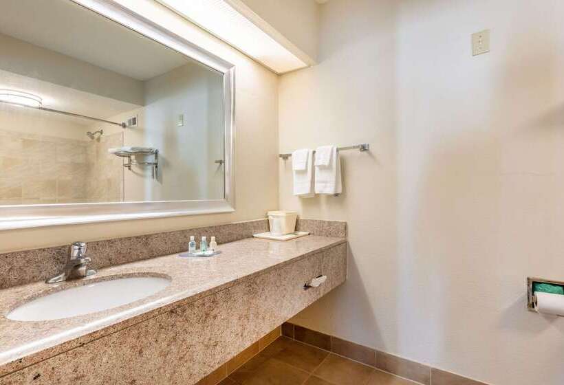 酒店 Quality Inn Southaven Memphis South