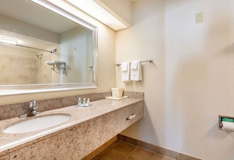 酒店 Quality Inn Southaven Memphis South