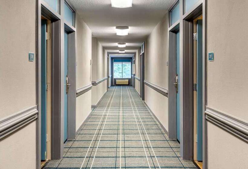 هتل Quality Inn & Suites Apexholly Springs