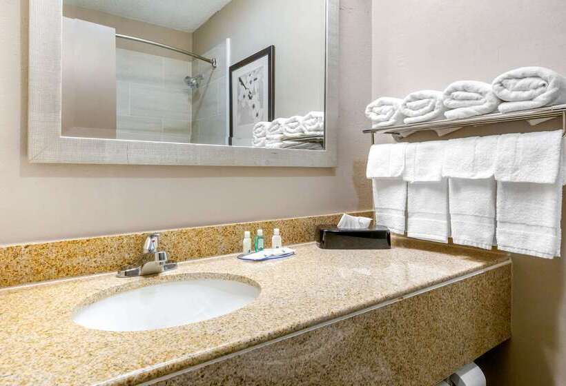 هتل Quality Inn & Suites Apexholly Springs