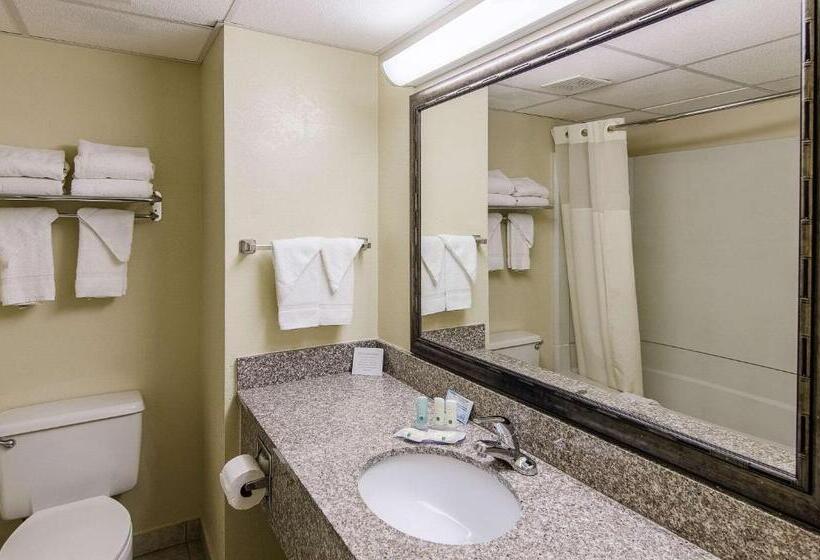 酒店 Quality Inn & Suites Lexington Near I 64 And I 81