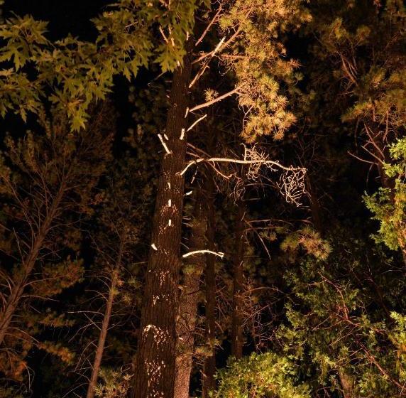 호텔 Quiet Creek Inn