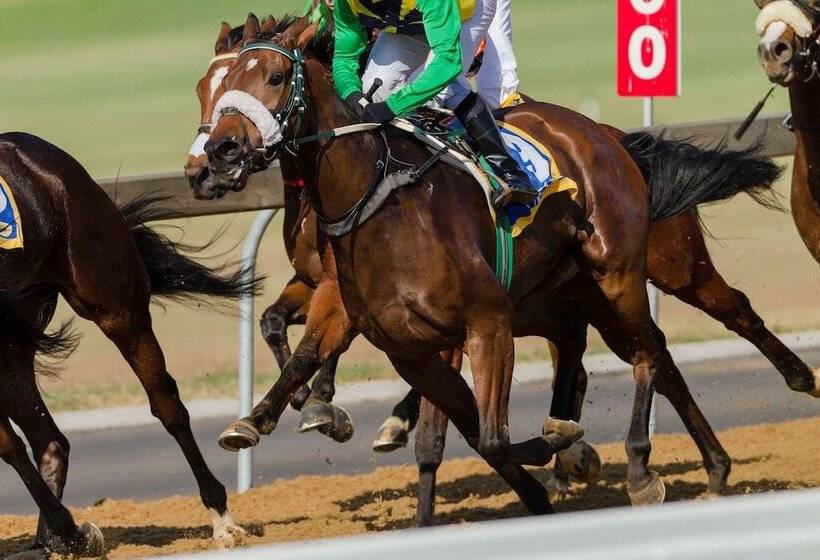 Отель Doubletree By Hilton New York Jfk Airport