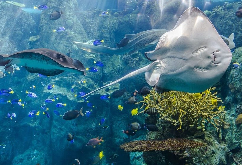 فندق Ramada By Wyndham Torrance