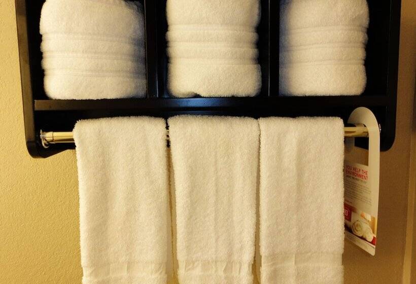 酒店 Ramada By Wyndham Tuscaloosa