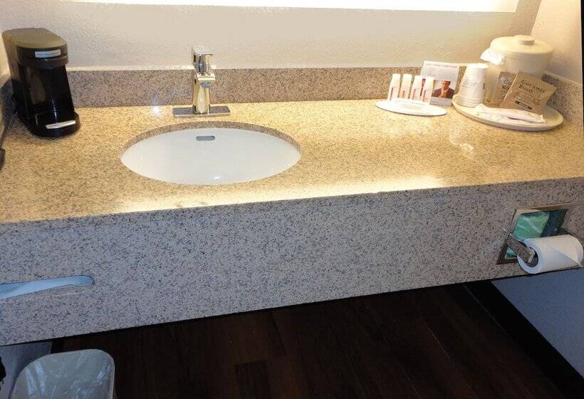 酒店 Ramada By Wyndham Tuscaloosa