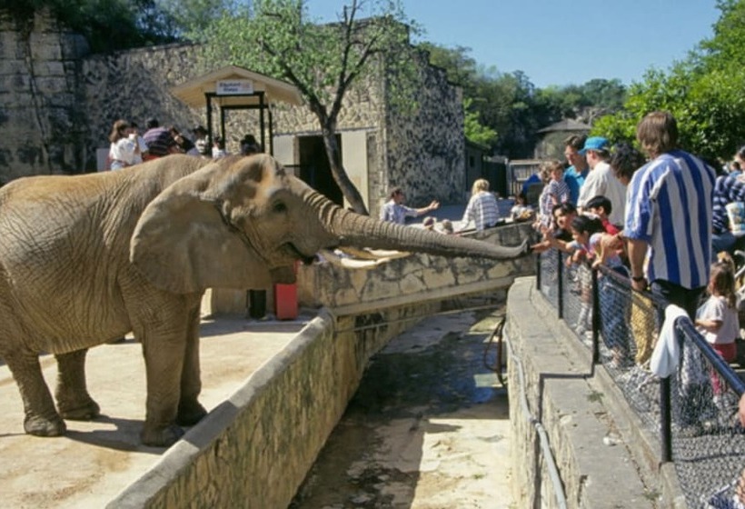 فندق The Emily Morgan San Antonio   A Doubletree By Hilton