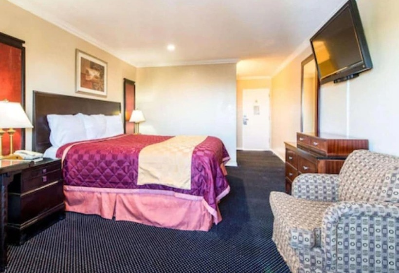 فندق على الطريق Queencity Inn