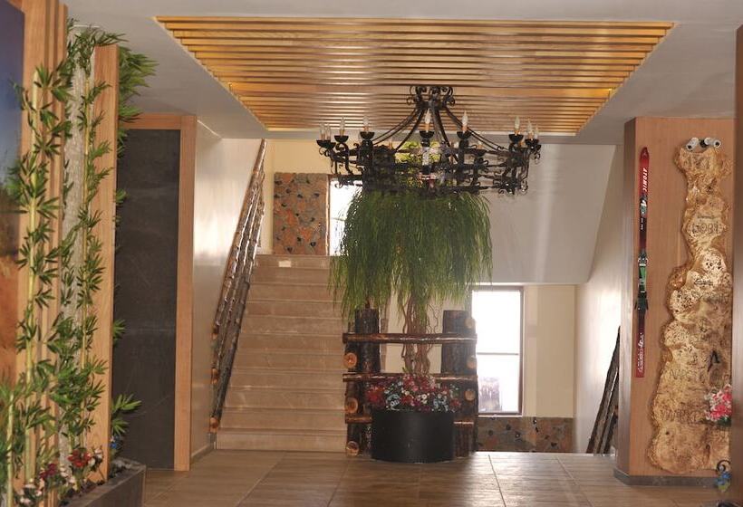 Sarikamis Kayi Snow Otel