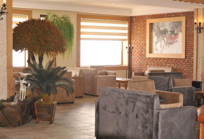 Sarikamis Kayi Snow Otel