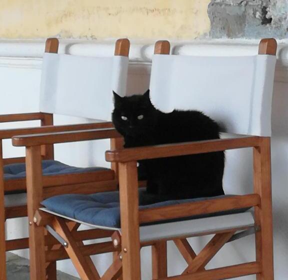 Отель Fattoria Giunasco