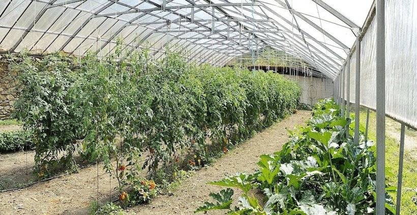 Отель Fattoria Giunasco