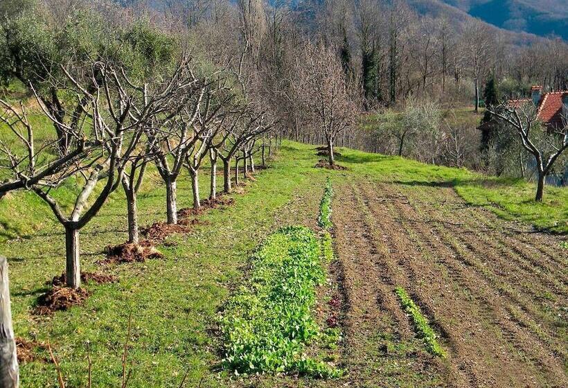 Отель Fattoria Giunasco