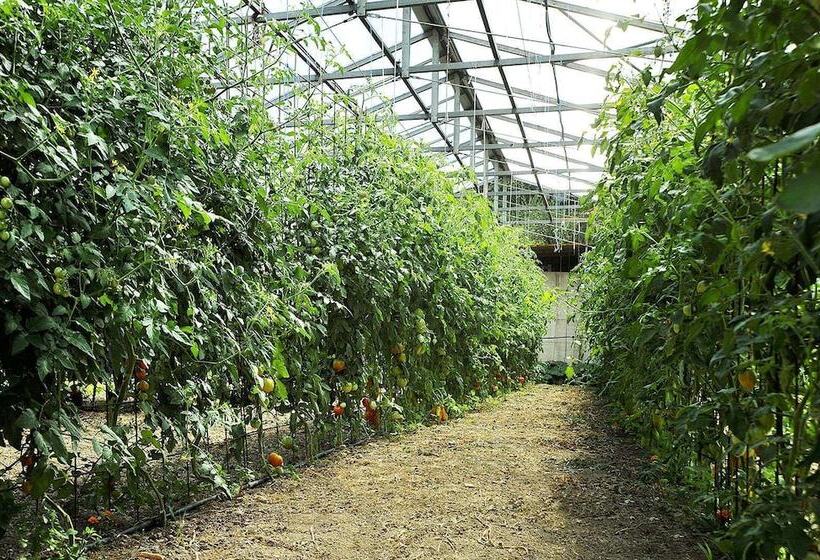 Отель Fattoria Giunasco