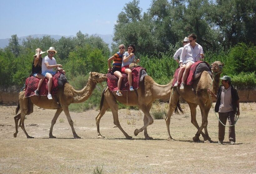 مسافرخانه Dar Atlas Ouadaker