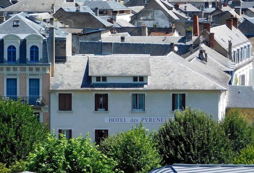 فندق Des Pyrénées