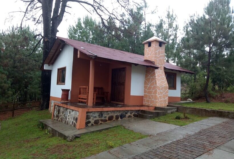 Cabañas Del Bosque