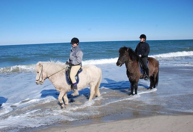 Отель Hytteby – Hanstholm Camping – Thy Feriepark