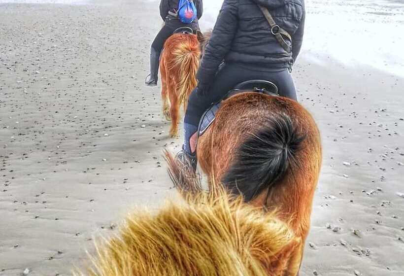 هتل Hytteby – Hanstholm Camping – Thy Feriepark