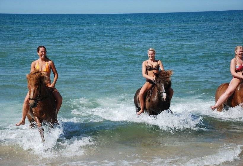 Отель Hytteby – Hanstholm Camping – Thy Feriepark