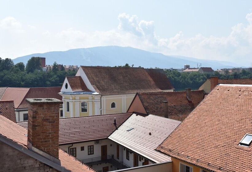 پانسیون City Wall House