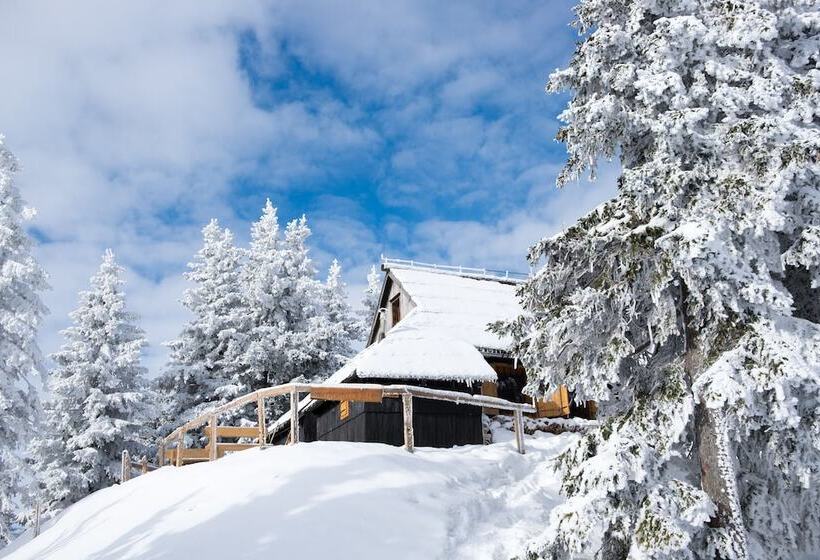 Chalet Tisa Velika Planina