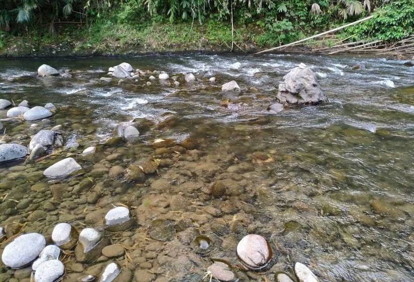 Finca El Encanto Eje Cafetero