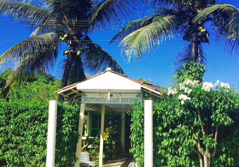 Отель Pousada Algas Marinhas