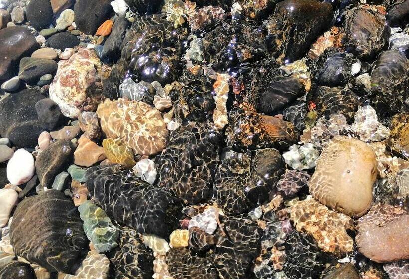 Assos Yali Butik Otel Restaurant