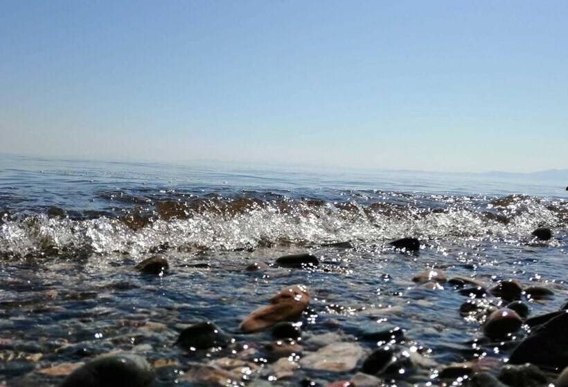 Assos Yali Butik Otel Restaurant