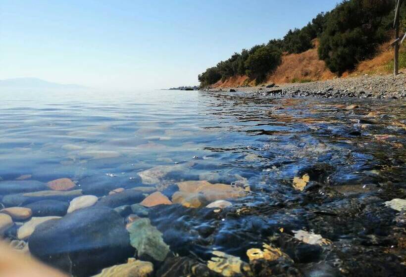 Assos Yali Butik Otel Restaurant